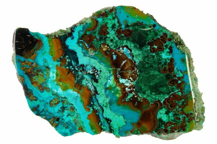 Polished Chrysocolla and Malachite - Bagdad Mine, Arizona #146502